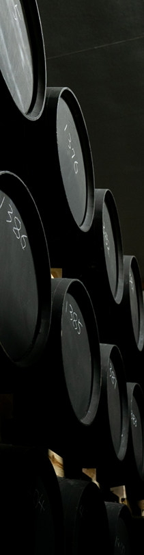 Whisky barrels aging in a dark cellar